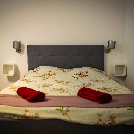 Apartmán The Nest@Pinehouse Brašov Exteriér fotografie